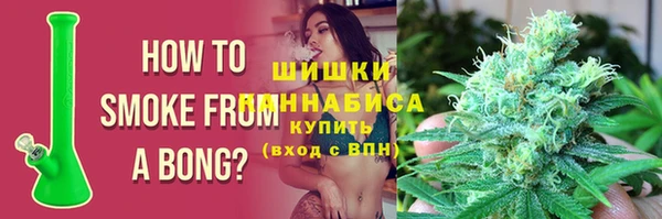 ГАЛЛЮЦИНОГЕННЫЕ ГРИБЫ Сясьстрой