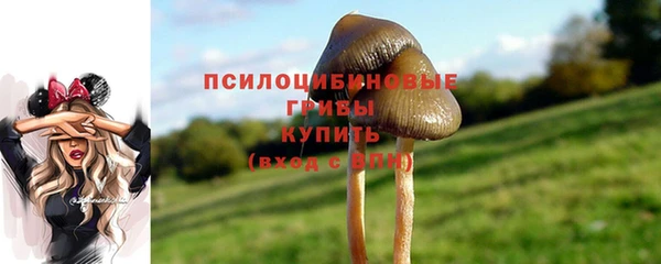 прущая мука Волоколамск