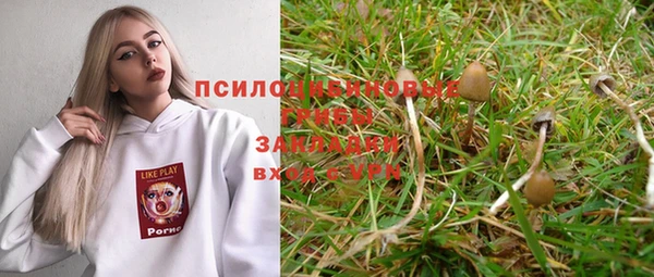 ГАЛЛЮЦИНОГЕННЫЕ ГРИБЫ Сясьстрой