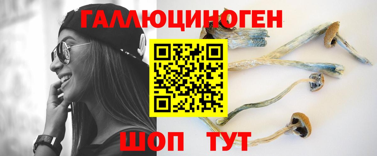 Снежинск  Галлюциногенные грибы Psilocybine cubensis  купить наркоту  Вход с VPN 